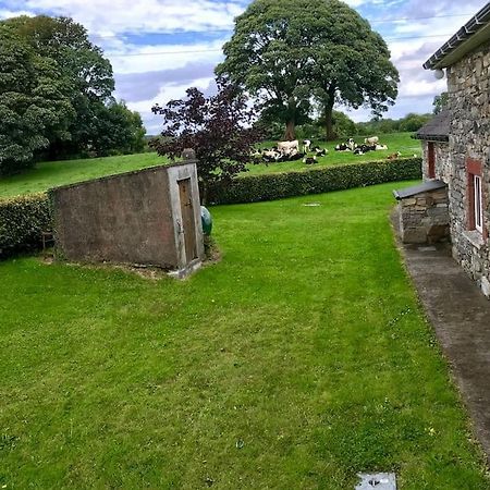 Dan Rua'S Cottage Cavan Exterior photo