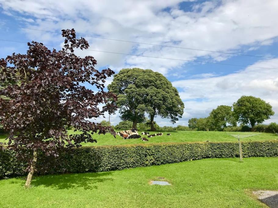 Dan Rua'S Cottage Cavan Exterior photo